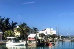 Avontuur in Eleuthera: Schommels, varkens en riffen