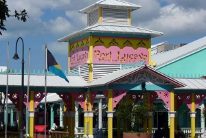Freeport 3-Hour City Tour