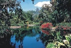 Freeport 4-Hour Garden of the Groves Tour