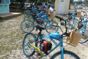 Freeport: Half-Day Motorized Bicycle Tour