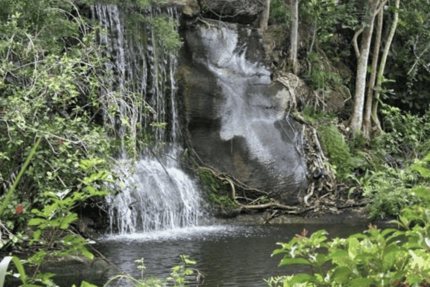 Freeport-landudflugt: Garden of the Groves og byrundvisning