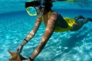 Freeport Snorkeling Adventure