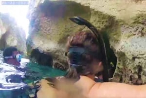 From Exuma: Private Swimming Pigs Tours - Exuma, Bahamas