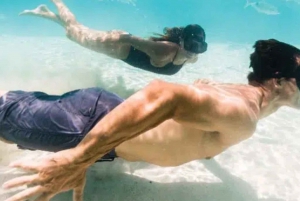 From Exuma: Private Swimming Pigs Tours - Exuma, Bahamas