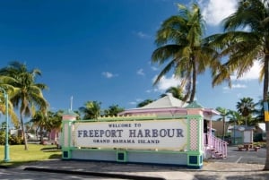 Fra Fort Lauderdale: Heldagstur til Bahamas med ferge