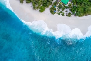 Au départ de Fort Lauderdale : Voyage d'une journée complète aux Bahamas en ferry