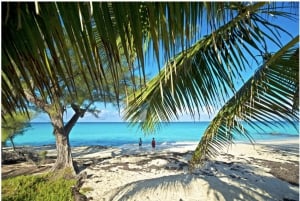Von Fort Lauderdale aus: Bimini Island Tagestour mit der Fähre