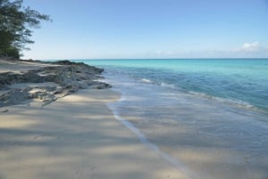 Depuis Fort Lauderdale : journée aux îles Bimini