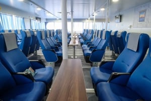 From Fort Lauderdale: Day Trip to Bimini