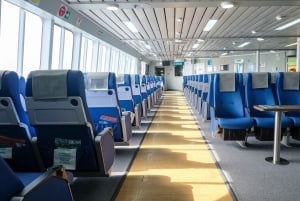 From Fort Lauderdale: Day Trip to Bimini