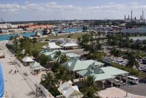 Från Fort Lauderdale: Freeport Bahamas dagskryssning