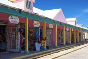 Fra Fort Lauderdale: Freeport Bahamas dagskrydstogt