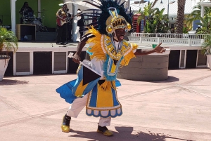 From Freeport: East Grand Bahama Tour with Transfer