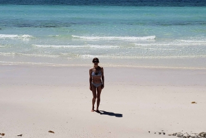 From Freeport: East Grand Bahama Tour with Transfer