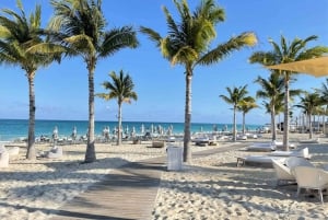 Fra Miami Beach: Bimini-ferge tur-retur og transport til hotellet