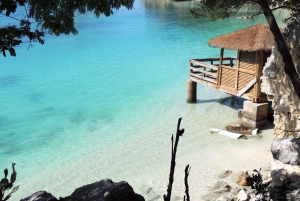 From Miami: Bimini Bahamas Day Trip w/ Hotel Pickup + Ferry