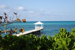 From Miami: Bimini Bahamas Day Trip w/ Hotel Pickup + Ferry