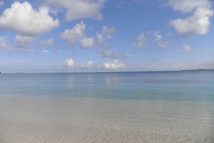 Fra Miami: Bimini Bahamas dagstur med hotelafhentning og færge