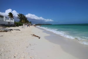 Från Miami: Bimini Bahamas dagsutflykt m/hotellhämtning & färja