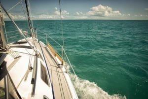De Miami: Bimini Bahamas Day Trip w/ Hotel Pickup & Ferry