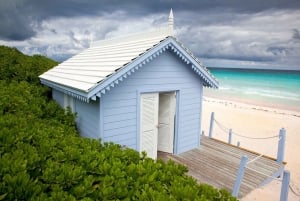 Fra Miami: Bimini Bahamas dagstur med hotelafhentning og færge