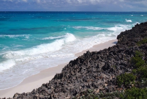 From Miami: Bimini Bahamas Day Trip w/ Hotel Pickup & Ferry
