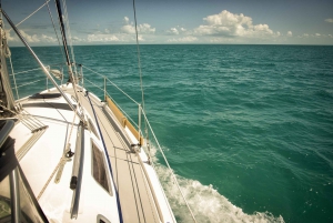 From Miami: Bimini Bahamas Day Trip w/ Hotel Pickup & Ferry