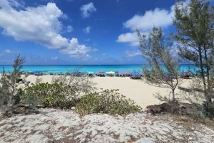 Von Miami: Hin- und Rückfahrt mit der Bimini-Fähre inklusive Hoteltransfer