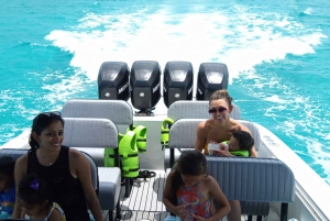 From Nassau: Exuma Iguanas, Sharks & Swimming Pigs Day Tour