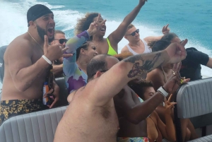 From Nassau: Exuma Iguanas, Sharks & Swimming Pigs Day Tour