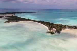 From Nassau: Exuma Iguanas, Sharks & Swimming Pigs Day Tour
