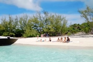 Von Nassau aus: Exuma Leguane, Haie und schwimmende Schweine Tagestour