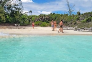 Au départ de Nassau : Excursion d'une journée à Exuma (Iguanes, requins et cochons nageurs)