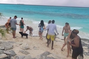 Fra Nassau: Dagstur til Exuma med leguaner, haier og svømmende griser