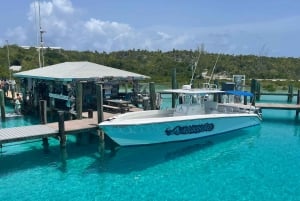 From Nassau: Exuma Powerboat Tour and Pig Beach with Lunch