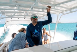 Z Nassau: Exuma Powerboat Tour i Pig Beach z lunchem