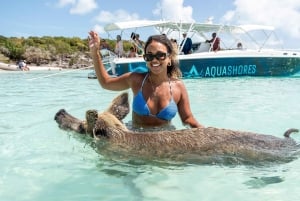 Z Nassau: Exuma Powerboat Tour i Pig Beach z lunchem
