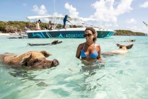 Z Nassau: Exuma Powerboat Tour i Pig Beach z lunchem