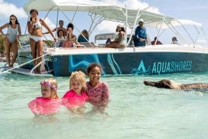 Z Nassau: Exuma Powerboat Tour i Pig Beach z lunchem