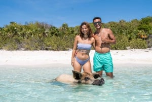 Z Nassau: Exuma Powerboat Tour i Pig Beach z lunchem