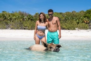 Z Nassau: Exuma Powerboat Tour i Pig Beach z lunchem
