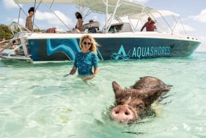 Z Nassau: Exuma Powerboat Tour i Pig Beach z lunchem