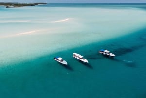 Z Nassau: Exuma Powerboat Tour i Pig Beach z lunchem