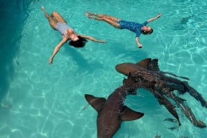 Z Nassau: Exuma Powerboat Tour i Pig Beach z lunchem