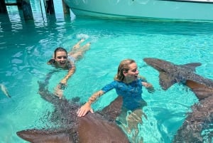 Z Nassau: Exuma Powerboat Tour i Pig Beach z lunchem