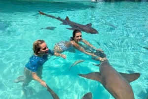 Z Nassau: Exuma Powerboat Tour i Pig Beach z lunchem