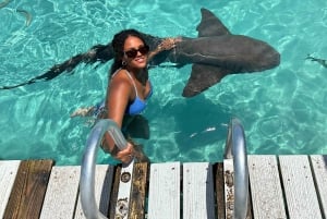 Z Nassau: Exuma Powerboat Tour i Pig Beach z lunchem