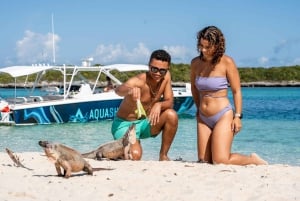 Z Nassau: Exuma Powerboat Tour i Pig Beach z lunchem