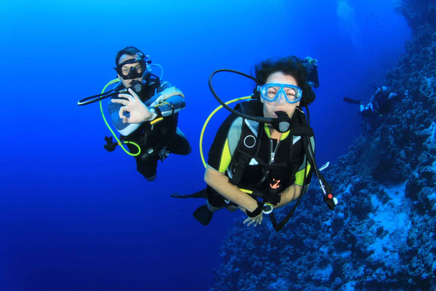 Grand Bahama – Half Day Beginner Scuba Diving Program