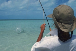 Grand Bahama Island: excursie bodemvissen